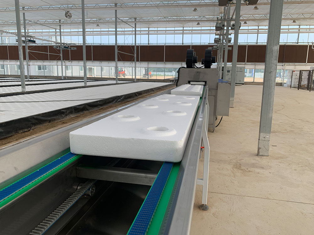 Industrial automation conveyor line