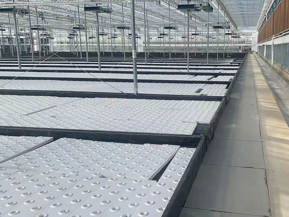 Multi-span greenhouse hydroponic system