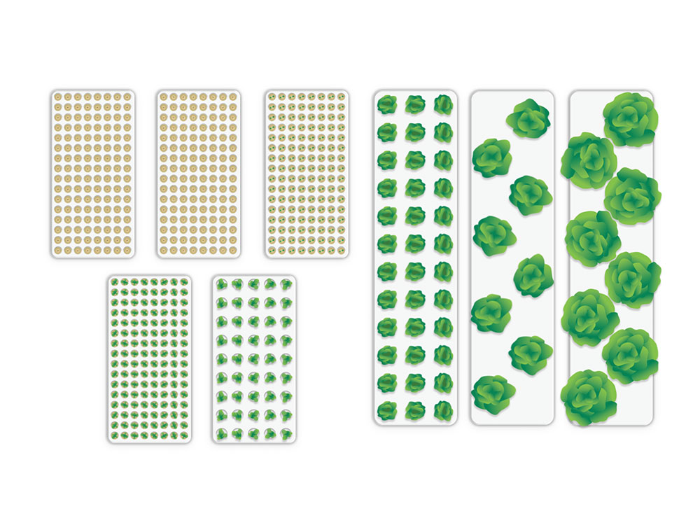 8 hole leaf lettuce planting tray