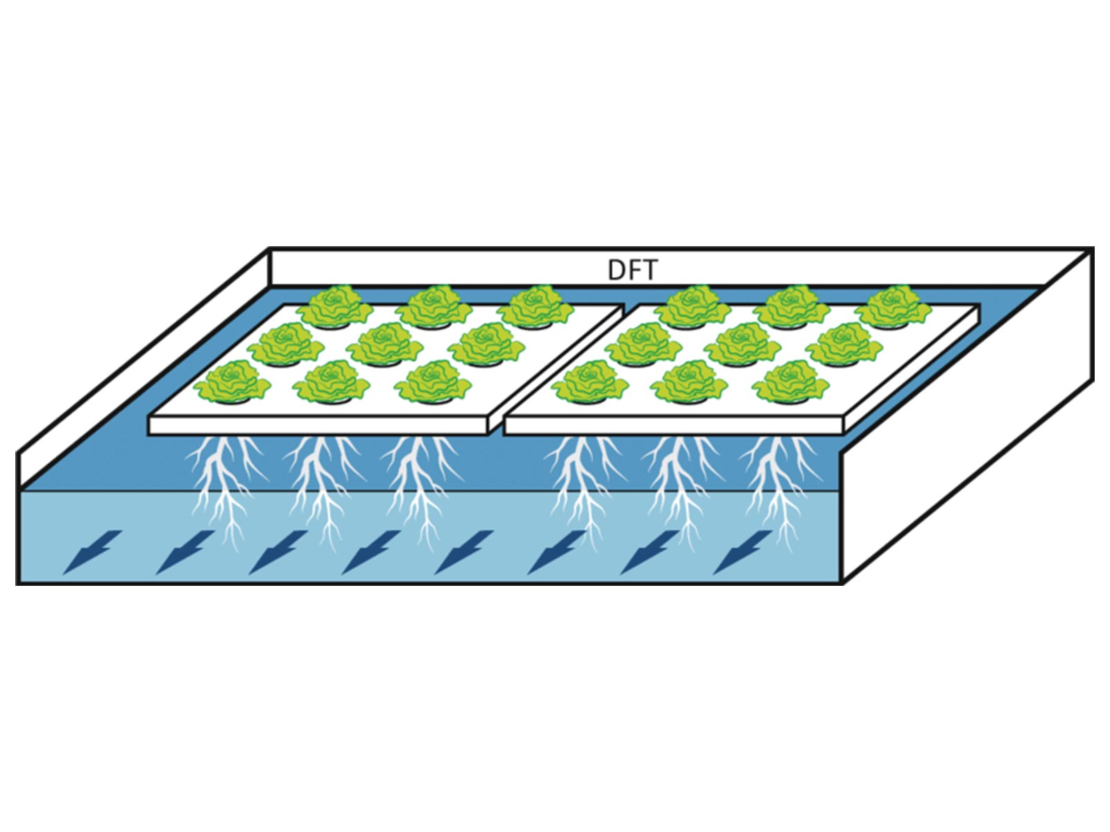 DFT水培系统示意图