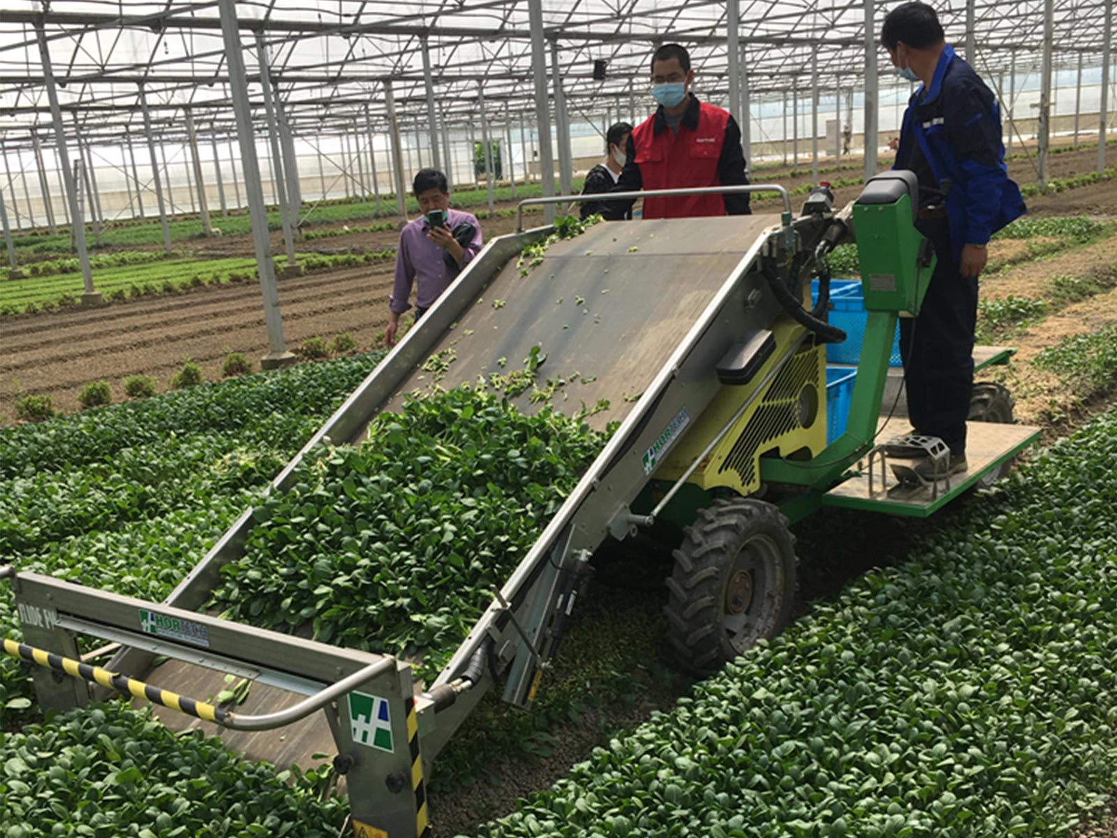 Hunan small rapeseed mechanization