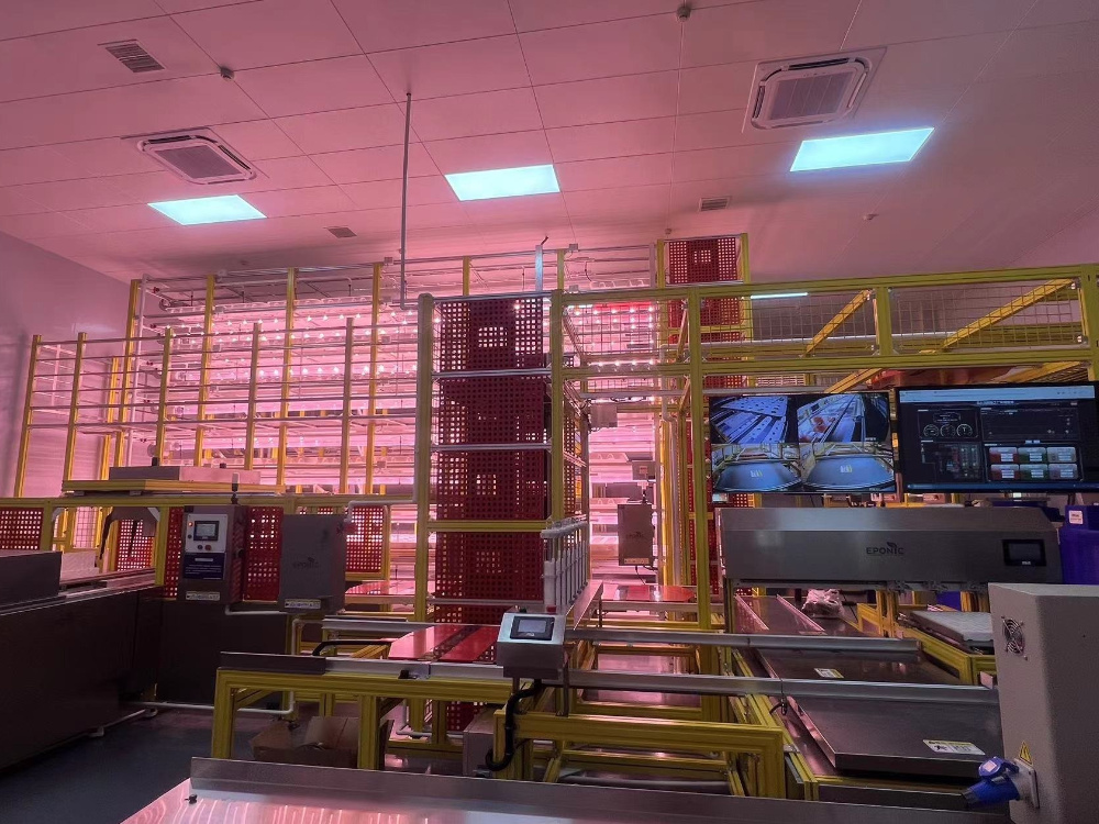 Agricultural Training Center Plant Factory