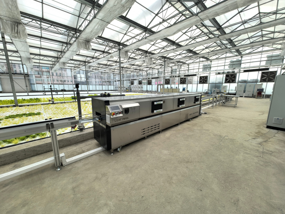 DFT deep flow floating hydroponic system