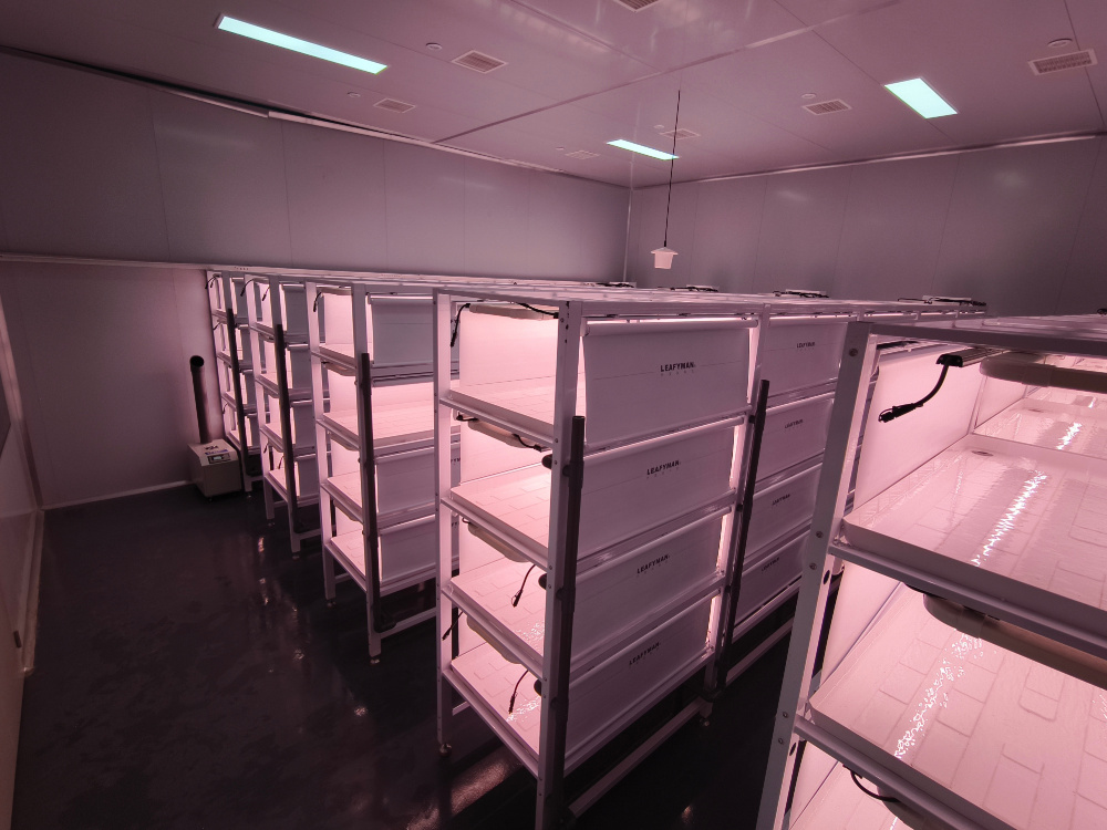 Fully automatic hydroponic lettuce